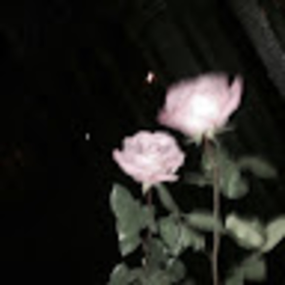 Meet your Posher, Ai